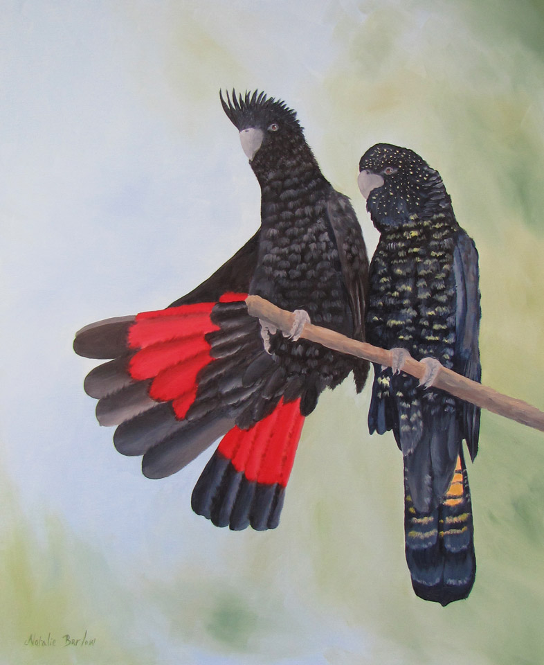 Cockatoos Spreading their Wings , Oil, 66x54cm, $590